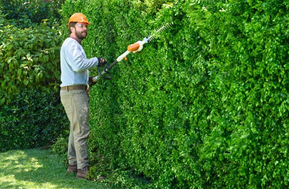 Jardinier taille haie rhone